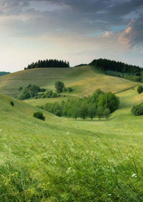 Dépense énergétique